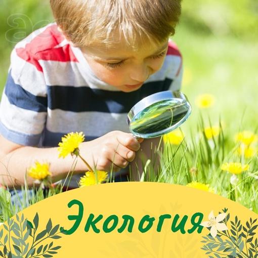 Летний клуб полного дня - Экология для младших школьников